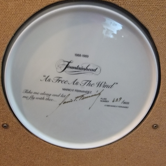 Mario Fernandez plate ( make offer) - Picture 2 of 7